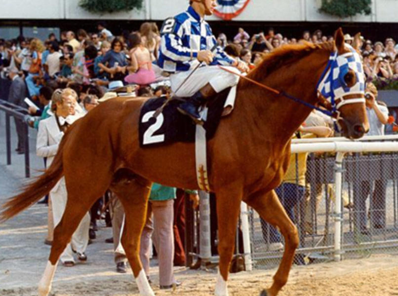 Secretariat Belmont Stakes